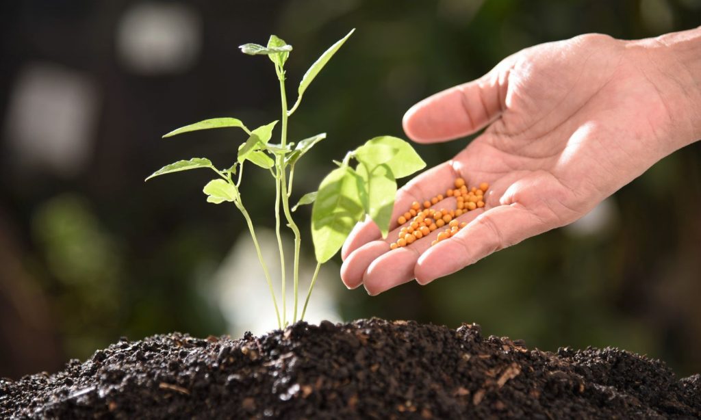 Plant Biostimulant