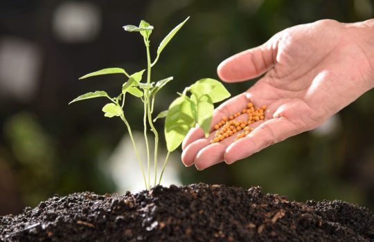 Plant Biostimulant2